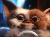 gizmo.jpg