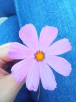 IMG_20180719_211230.jpg