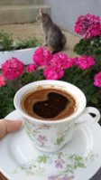 20180720_182916.jpg
