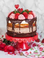 Strawberry-Tuxedo-Cake-4.jpg