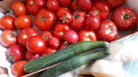 20180722_125328.jpg