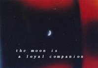 1532292066342.jpg