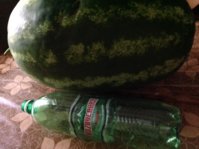 IMG_20180723_214410.jpg
