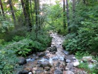 20180724_133407.jpg