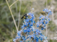 LRM_EXPORT_20180630_143740.jpg