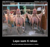 lepo_sam_ti_rekao_12578.jpg