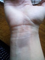 IMG_20180729_164718.jpg