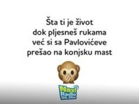 fc683d5b811414de73b259f37f9a07eb.jpg