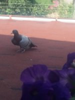 20180730_104009.jpg