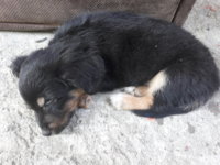 20180802_102338.jpg