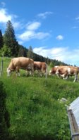 20180601_163255.jpg