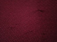 20180803_161538.jpg