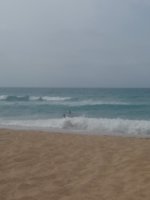 20180723_114752.jpg