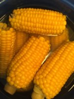 IMG_2550.JPG