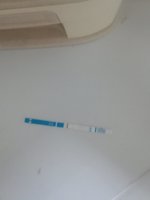 IMG_20180804_193000.jpg
