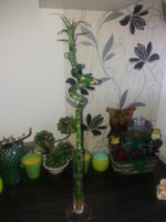 20180805_105320.jpg