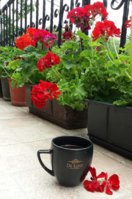 20180727_093131.jpg