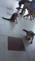 20180805_193445.jpg