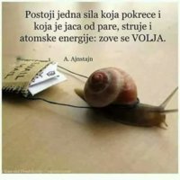 FB_IMG_1532938059179.jpg