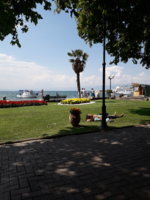 20180806_105034.jpg