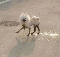 38703280_10157995721786840_6655600339720339456_n.jpg