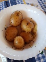 20180808_130240.jpg