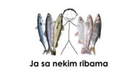 vl-funny-005417.jpg