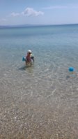 20180527_113742.jpg