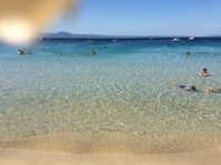 38CB5552-2C85-4A3D-B18A-DA4C86A8D561.jpeg