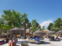 20180811_142827.jpg