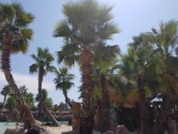 20180811_142340.jpg
