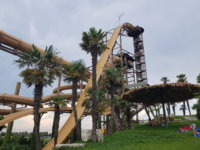 20180811_161332.jpg