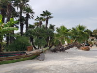 20180811_173302.jpg