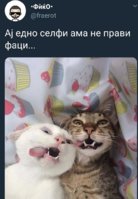 FB_IMG_1534512796945.jpg