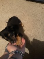 20180817_215026.jpg