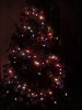 111228_221731.jpg