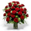 roseroses.jpg