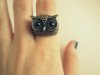 Owl-ring-FTW-house-md-fans-18654480-2560-1920.jpg