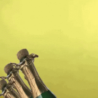 tenor.gif