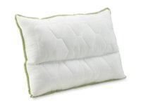 aloe_vera_pillow_anatomic_v3.jpg