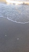 20180821_190744.jpg
