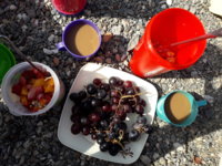 20180824_101112.jpg