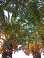 IMG_20180824_115823.jpg