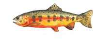 fish3a.jpg