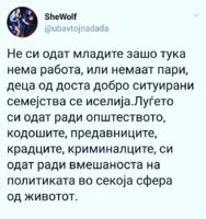 FB_IMG_1535878701842.jpg