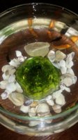 20180825_134347.jpg