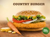 country-burger-burger-king-e1392745652870.jpg