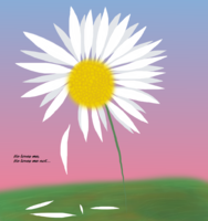 daisy2.png