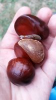 20180905_183839.jpg