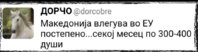 Screenshot_9.jpg